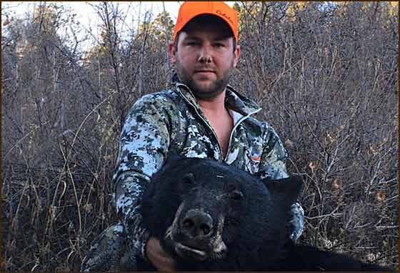 Archery Bear