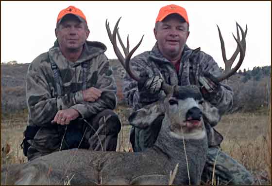 Archery Deer