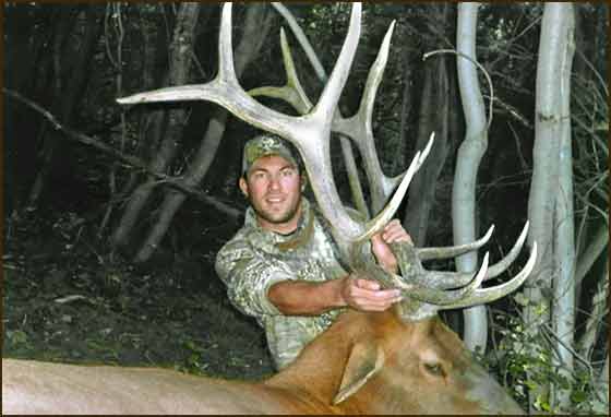 Archery Elk