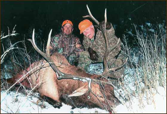 Rifle Elk